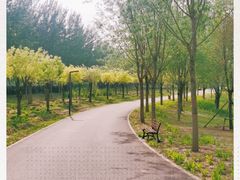 -东郊湿地公园