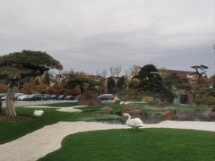 -罗红摄影艺术馆