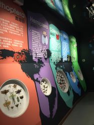 -七巧国萌宠乐园(龙湖天街店)