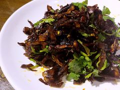 山珍野菌-福照楼汽锅鸡·云南菜(护国路店)