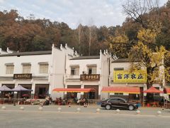 -千年银杏谷文化旅游区