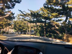 -棒棰岛宾馆景区