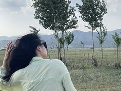 -敕勒川草原