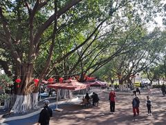 -厦门大学(思明校区)