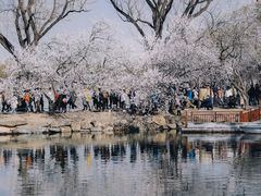 -颐和园