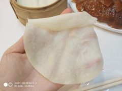 -九花山烤鸭店
