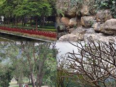 -顺峰山公园