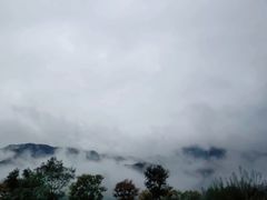 -紫云台香草园