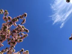 -天津万象城