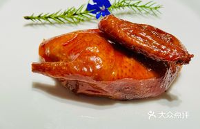 Red Robe Pigeon