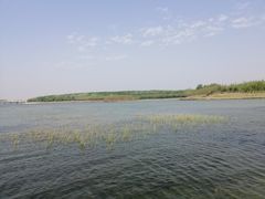 -丁香湖公园