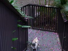 -广州都喜泰丽温泉度假酒店