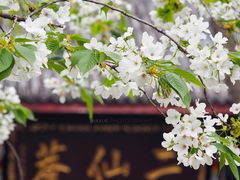 -成都市文化公园
