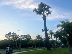-怡海苑餐厅·厦门滨海悦华酒店