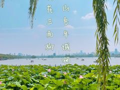 -济南大明湖景区