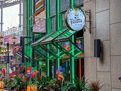 -Famous肥猫墨西哥音乐餐吧(五棵松华熙LIVE店)