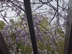 -九龙潭景区