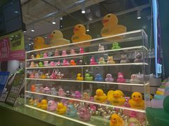-LINLEE林里·手打柠檬茶(普陀新邻天地店)