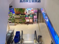 -盒马鲜生(大成店)