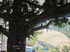-虎啸峡漂流