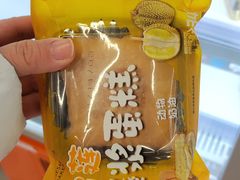 -盒马鲜生(大成店)