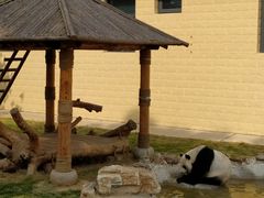 -石家庄市动物园