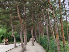 -帽儿山国家森林公园