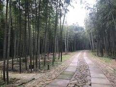 -黄公望隐居地