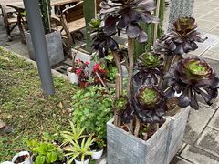 -大理文庙(大理古城)
