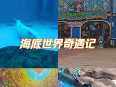 -海合安成都极地海洋公园