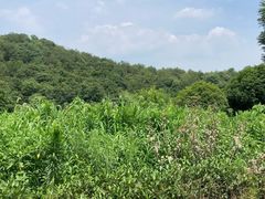 -肯德基(余杭禹航店)