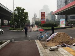 -中国石油徐东路加油站(武汉大道店)