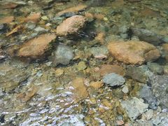 -本溪汤沟绿石谷森林公园