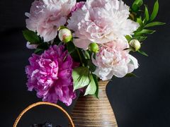 -茉川甜品MOCHUAN