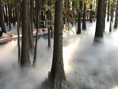 -东湖落雁景区