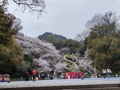 -杭州少年儿童公园