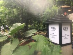 -融汇温泉