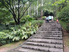 -火炉山森林公园