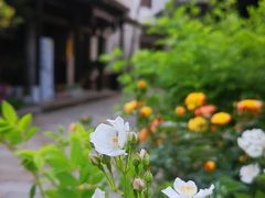 -尚贤河湿地