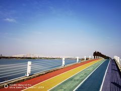 -贡湖湾湿地公园