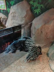 -酷嗒动物文化乐园(cutezoo西溪乐天城店)