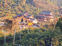 -树山生态村