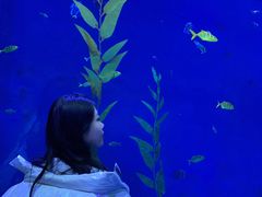 -波塞冬旅游度假区