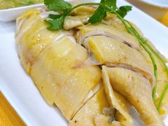 湛江鸡-巫记鸡饭店