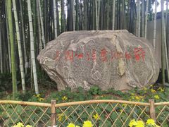 -上海醉白池公园