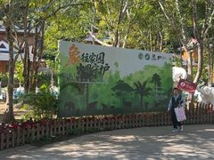 -江苏三台山国家森林公园