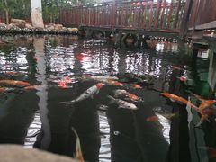 -北黄海温泉度假村