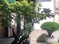 -喜洲翰林餐厅(董家百年老宅店)