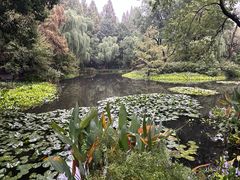 -杭州西湖柳莺里酒店·闻莺厅