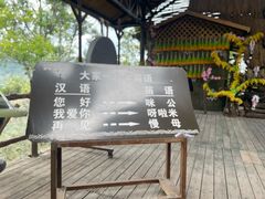 -海南槟榔谷黎苗文化旅游区